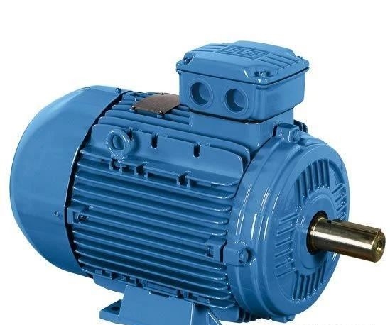 1715848284581842.jpg 微信圖片編輯_20240516163112.jpg